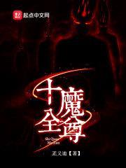 十全魔尊封面