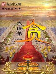 大清第一贪封面