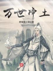 万世净土封面