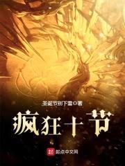疯狂十节封面