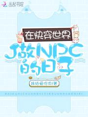 在快穿世界做NPC的日子封面