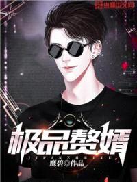 极品赘婿封面