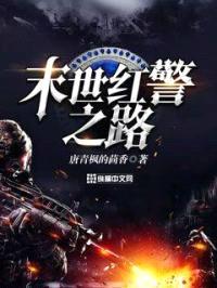 末世红警之路封面