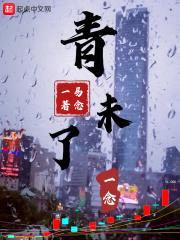 一念青未了封面