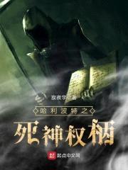 哈利波特之死神权柄封面