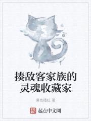 揍敌客家族的灵魂收藏家封面