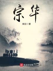 宗华封面