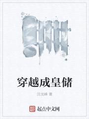 穿越成皇储封面