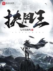 从赘婿开始征服名将封面