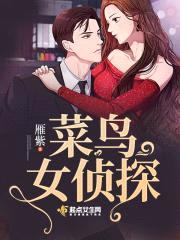 菜鸟女侦探封面