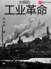大明的工业革命封面