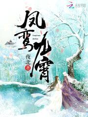凤鸾九霄封面