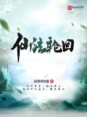 仙法轮回封面
