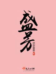 盛芳封面