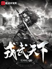 戎武天下封面