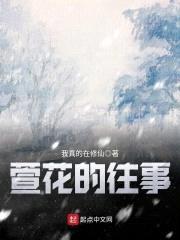 萱花的往事封面