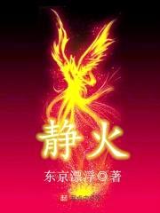 静火封面