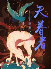 精灵之天眷者封面