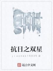 抗日之双星封面