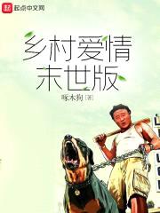 乡村爱情末世版封面
