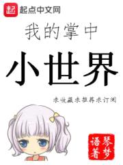 我的掌中小世界封面