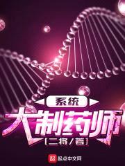 大制药师系统封面