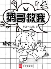 鹅哥救我封面