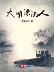 大明漂流人封面