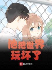 他把世界玩坏了封面