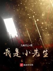 我是小先生封面