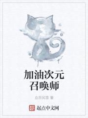 加油次元召唤师封面