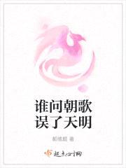 谁问朝歌误了天明封面