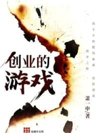 创业的游戏封面