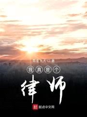 我真是个律师封面