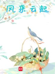 风来云起封面