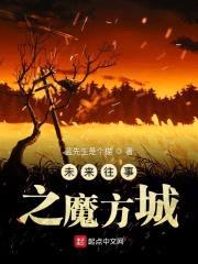 未来往事之魔方城封面