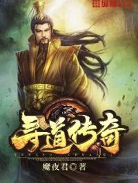 寻道传奇封面