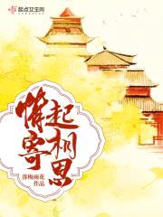 情寄起相思封面