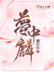 梦中麟封面