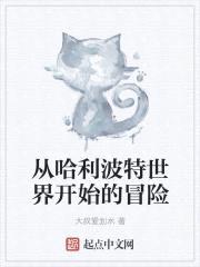 从哈利波特世界开始的冒险封面