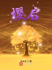 樱启封面