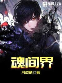 魂间界封面