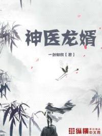 神医龙婿封面
