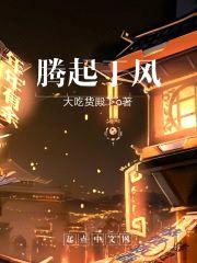 腾起于风封面
