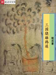 三国骁雄韩遂封面