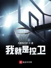 我就是控卫封面