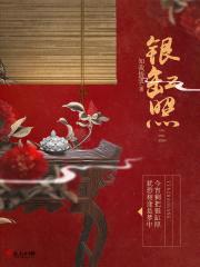 银缸照封面