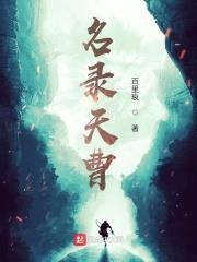 名录天曹封面