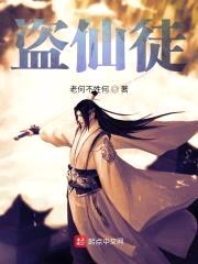 盗仙徒封面
