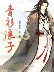青衫浪子封面